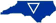 MLS Image